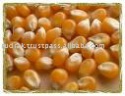 mushroom pop corn - product's photo