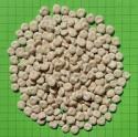 hamburg lupins (tormos) - product's photo