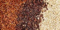 quinao seeds white & red - product's photo