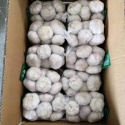 high quality natural pure white galic - product's photo