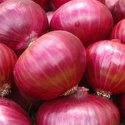 red and yellow onion - product's photo