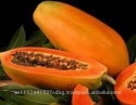 fresh papya - product's photo
