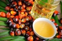 palm oil - product's photo