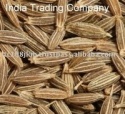 cumin seed - product's photo