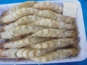 indian vannamei shrimps farm  - product's photo