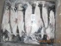 frozen squid whole - product's photo
