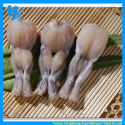  frozen bullfrog leg price - product's photo