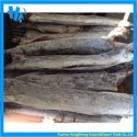  super frozen sailfish factory - product's photo