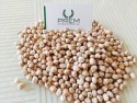 chickpeas (kabuli chickpeas) - product's photo