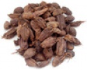 black cardamom whole and powder - product's photo