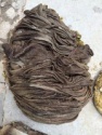 frozen beef omasum - product's photo