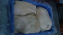 tripe - product's photo