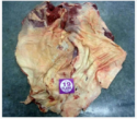 flank - boneless buffalo meat - product's photo