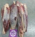 indian buffalo meat - product's photo