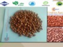 bulk peanuts in shell - product's photo