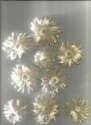 pineapple slices - product's photo