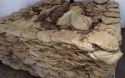buffalo omasum - product's photo