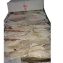 beef tallow - product's photo