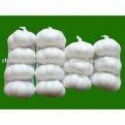 fresh pure white garlic - product's photo