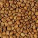 indian cowgram beans - product's photo