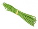 indian fresh drum stick - product's photo
