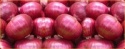 fresh onions - product's photo