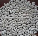 white kidney beans long shape - product's photo